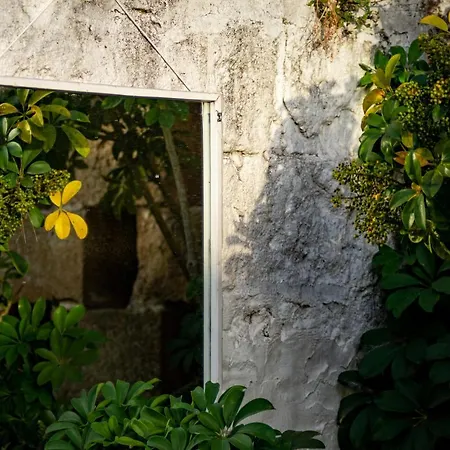Antica Casina B&B Di Charme Pulsano Exterior foto