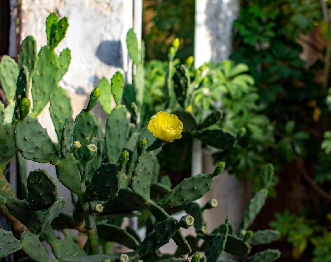 Antica Casina Di Charme Pulsano